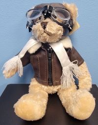 Aviator Bear - Chicago Executive Flight School